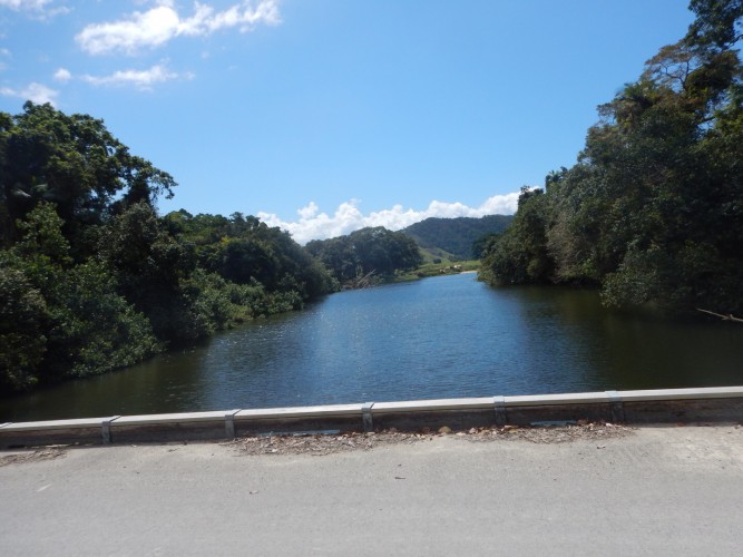 Crocodile Daintree 