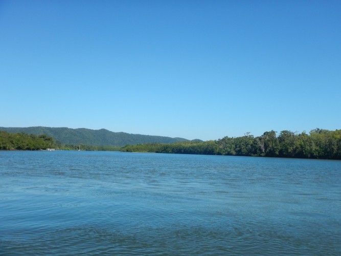 Crocodile Daintree 2